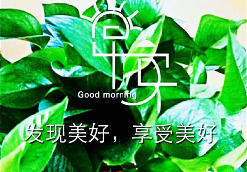 奖杯英文短句高级