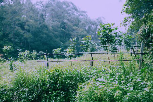 天气闷热暖心问候语