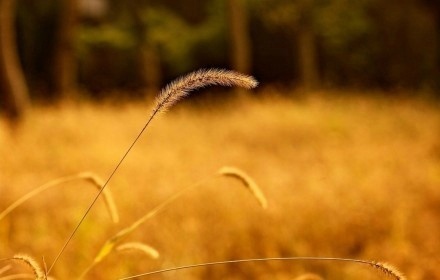 高考结束学生感谢老师语录