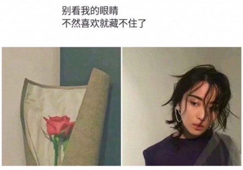 双胞胎们的优美句子